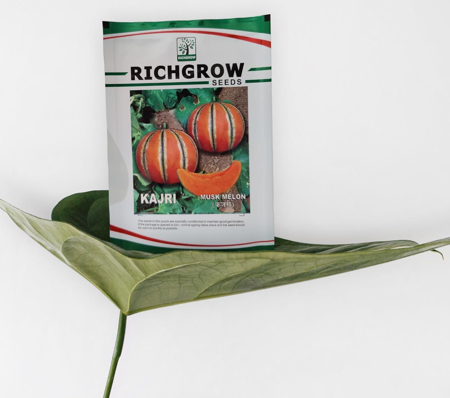 Musk Melon Seeds (Variety - Kajri) (Open Pollinated)