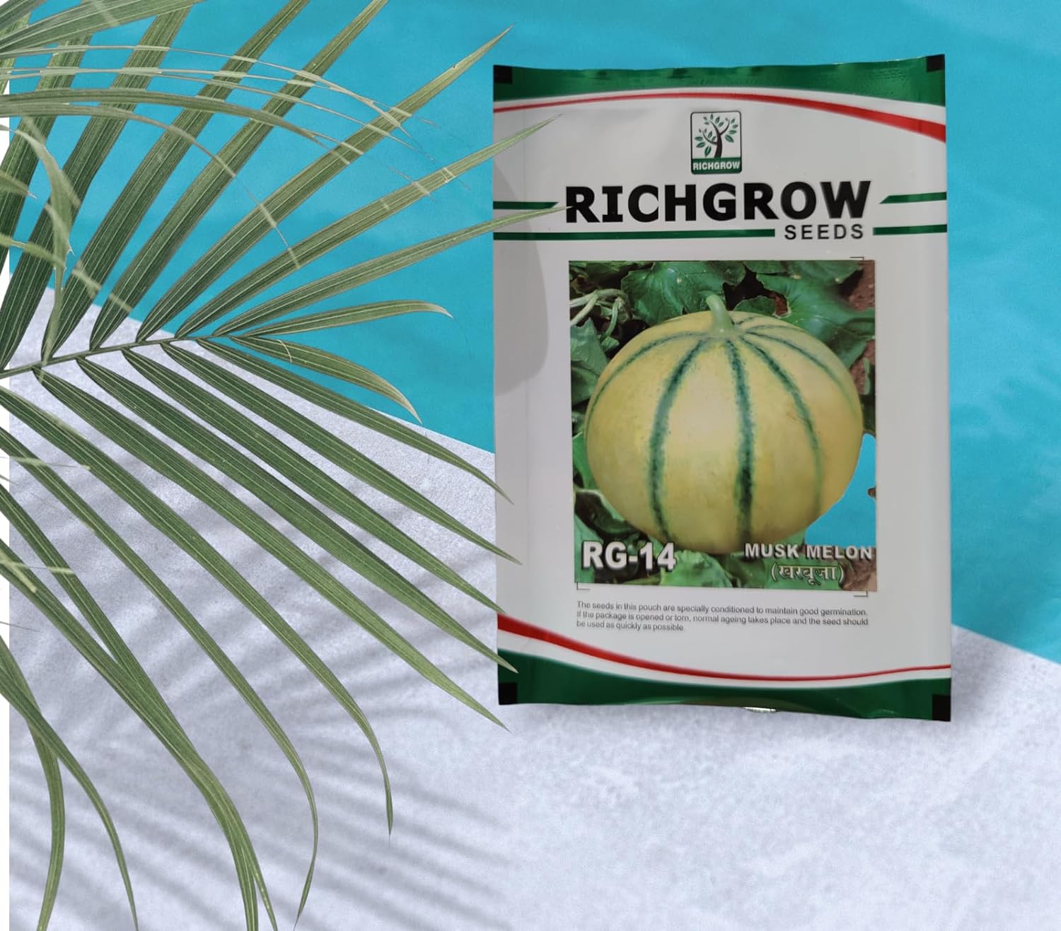 Musk Melon Seeds (Variety - RG 14) (Open Pollinated)