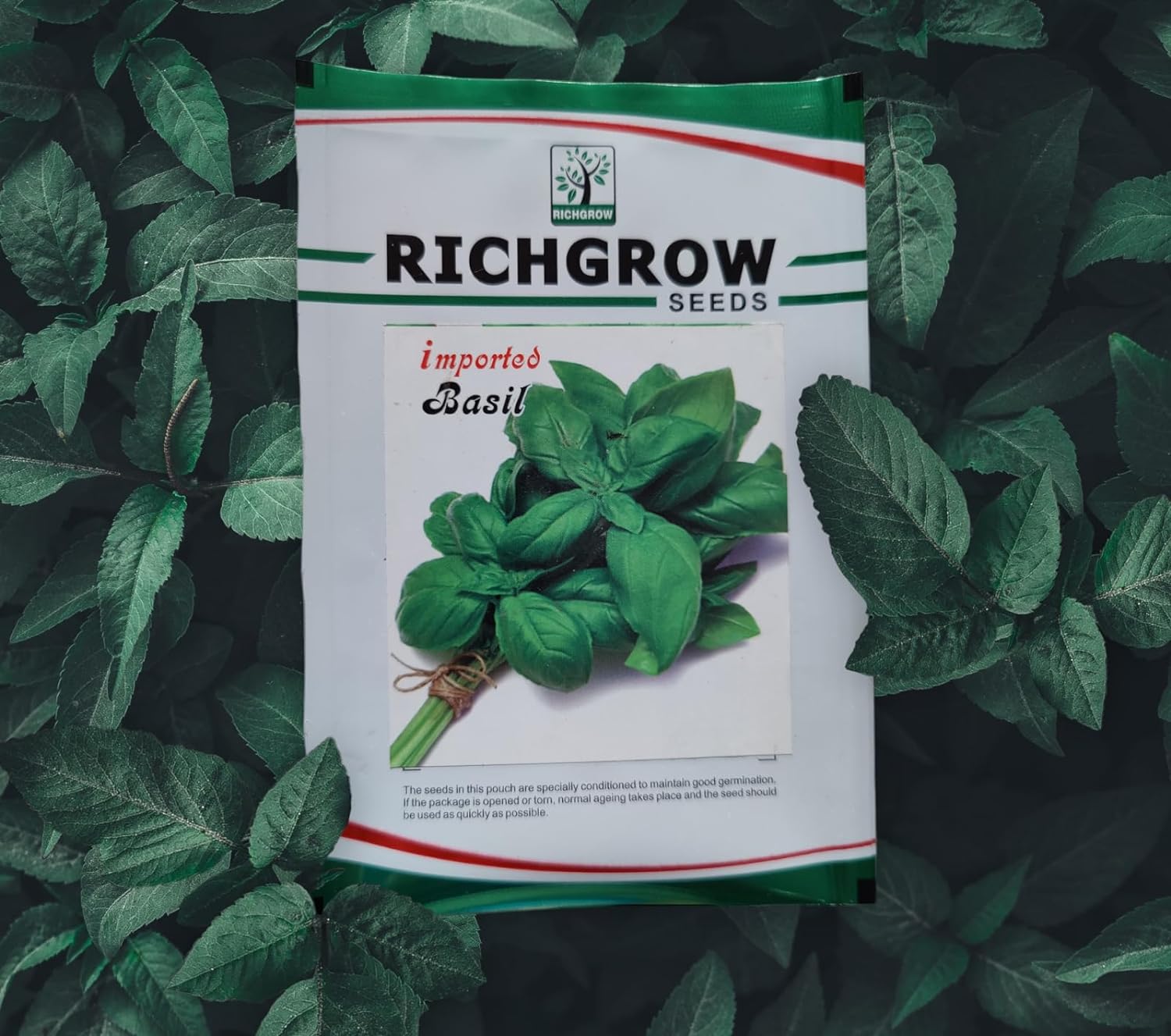 Basil Seeds (Open Pollinated)