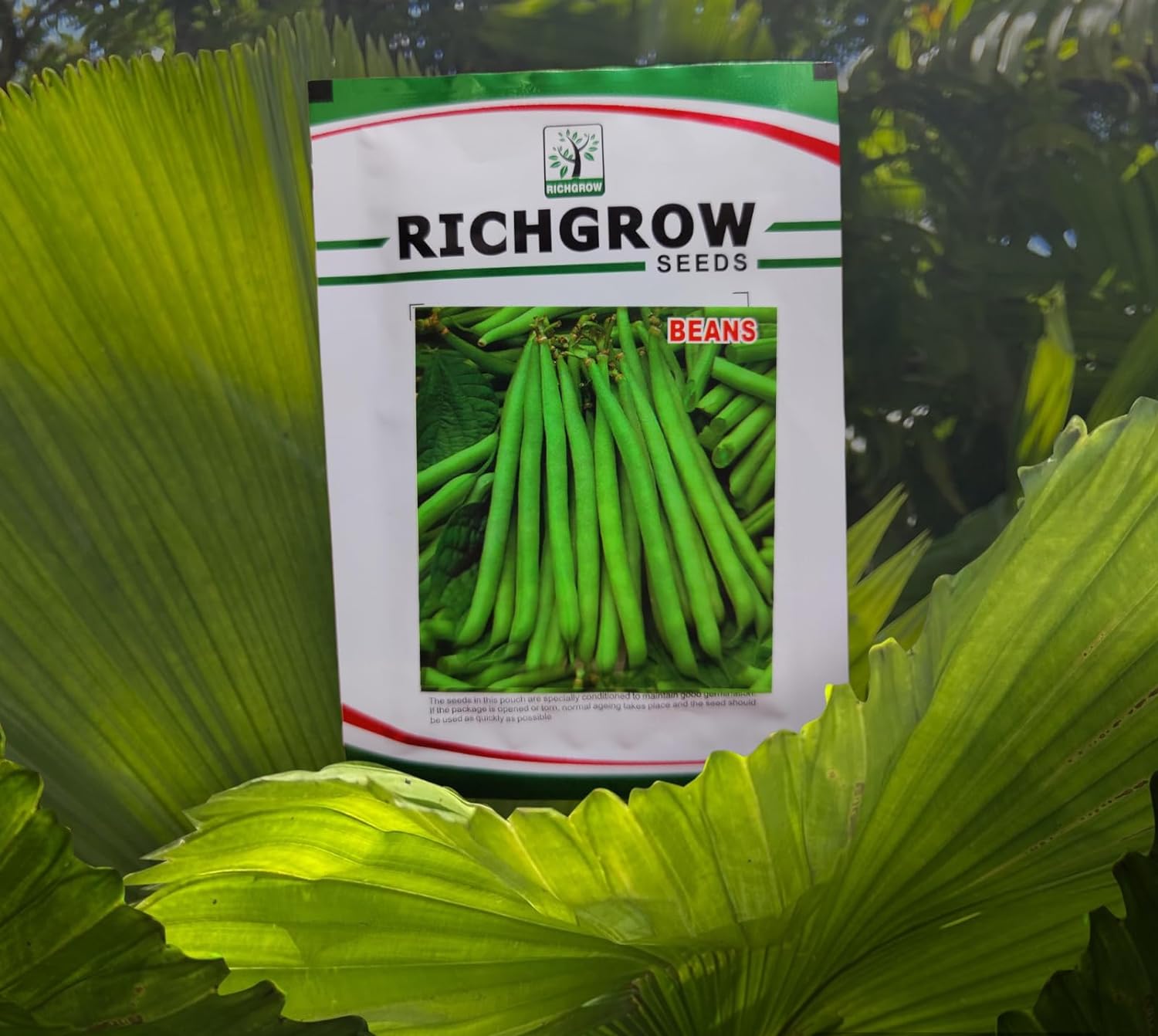 Bush Beans Seeds (Open Pollinated)