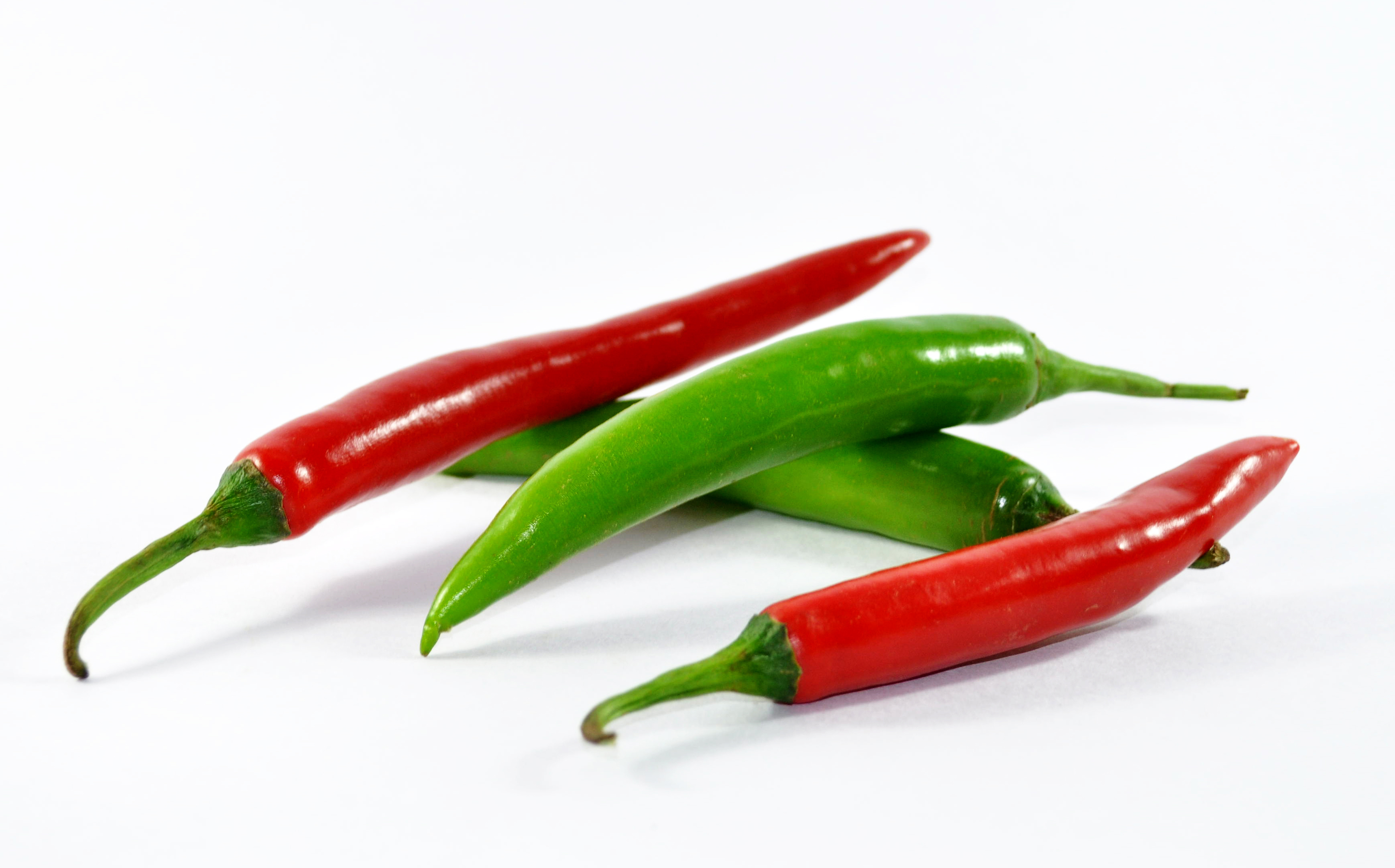 Chilli Seeds (Variety  SONIA-778) (F1 Hybrid)