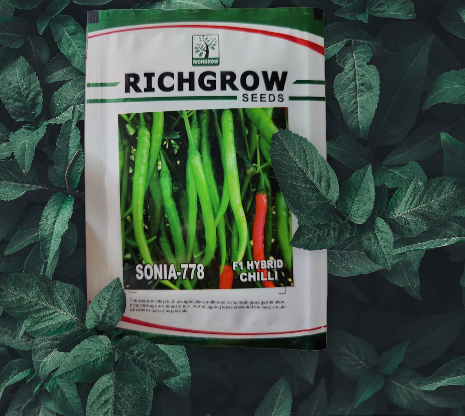 Chilli Seeds (Variety  SONIA-778) (F1 Hybrid)