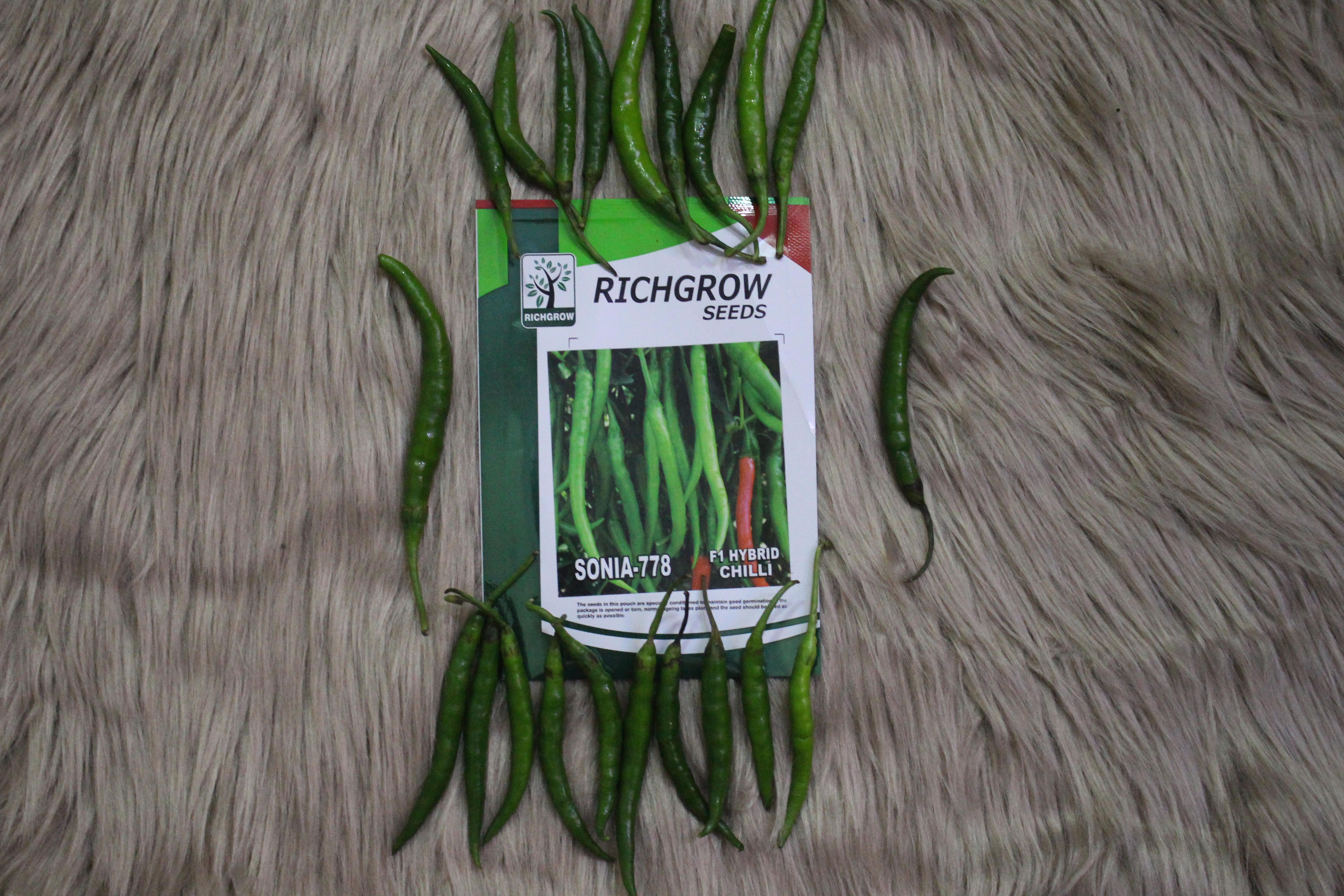 Chilli Seeds (Variety  SONIA-778) (F1 Hybrid)