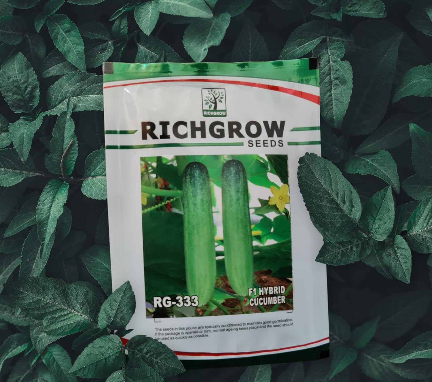 Cucumber Seeds (Variety RG 333) (F1 Hybrid)