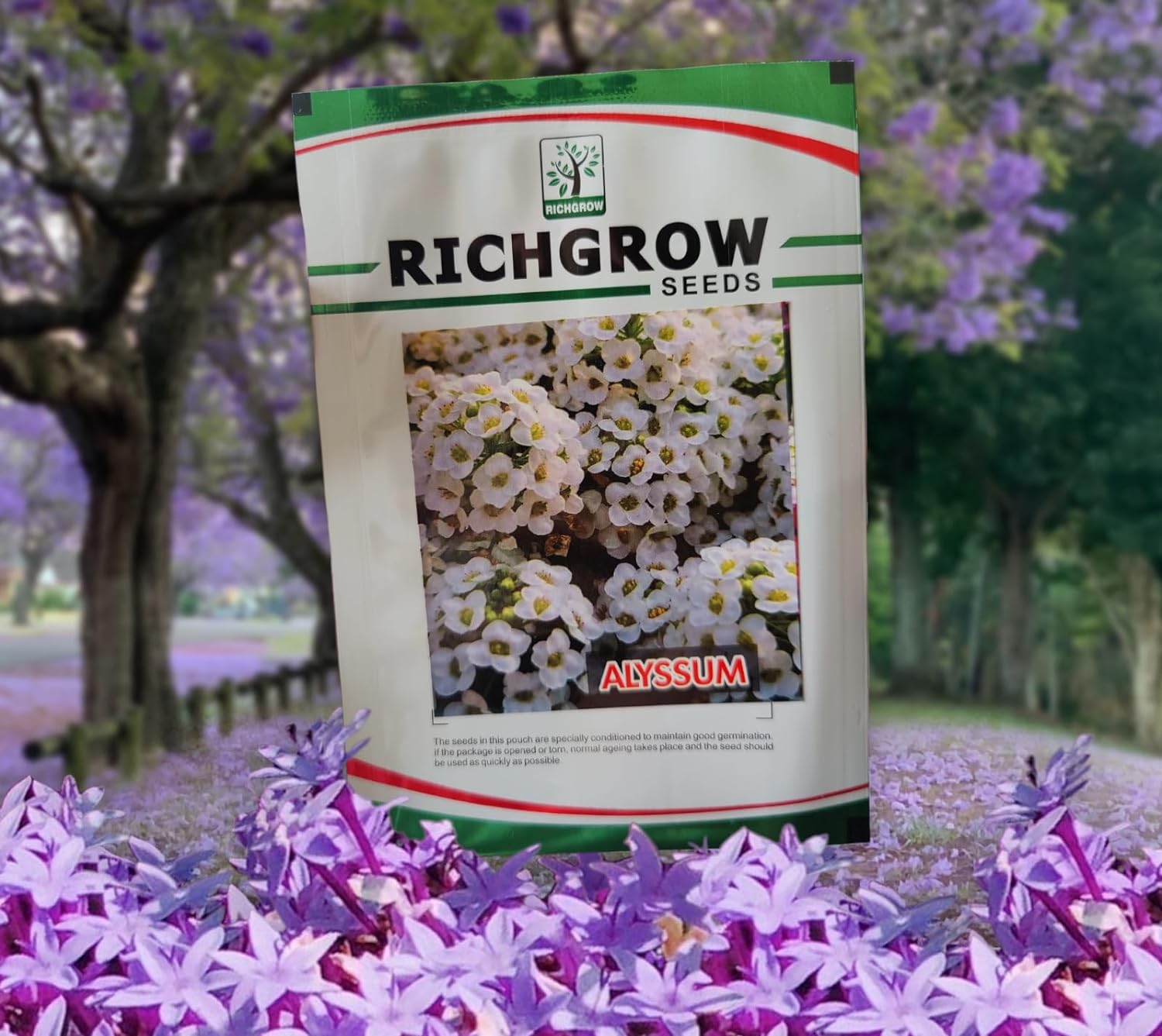 Alyssum Seeds (Open Pollinated)