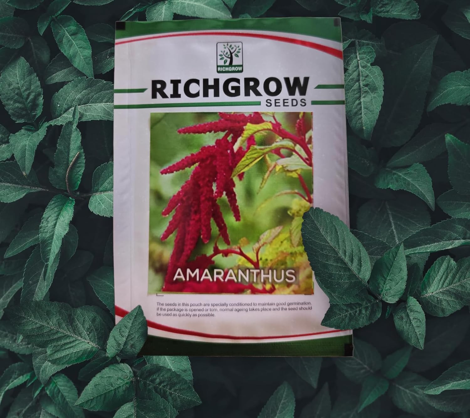 Amaranthus Seeds (Open Pollinated)