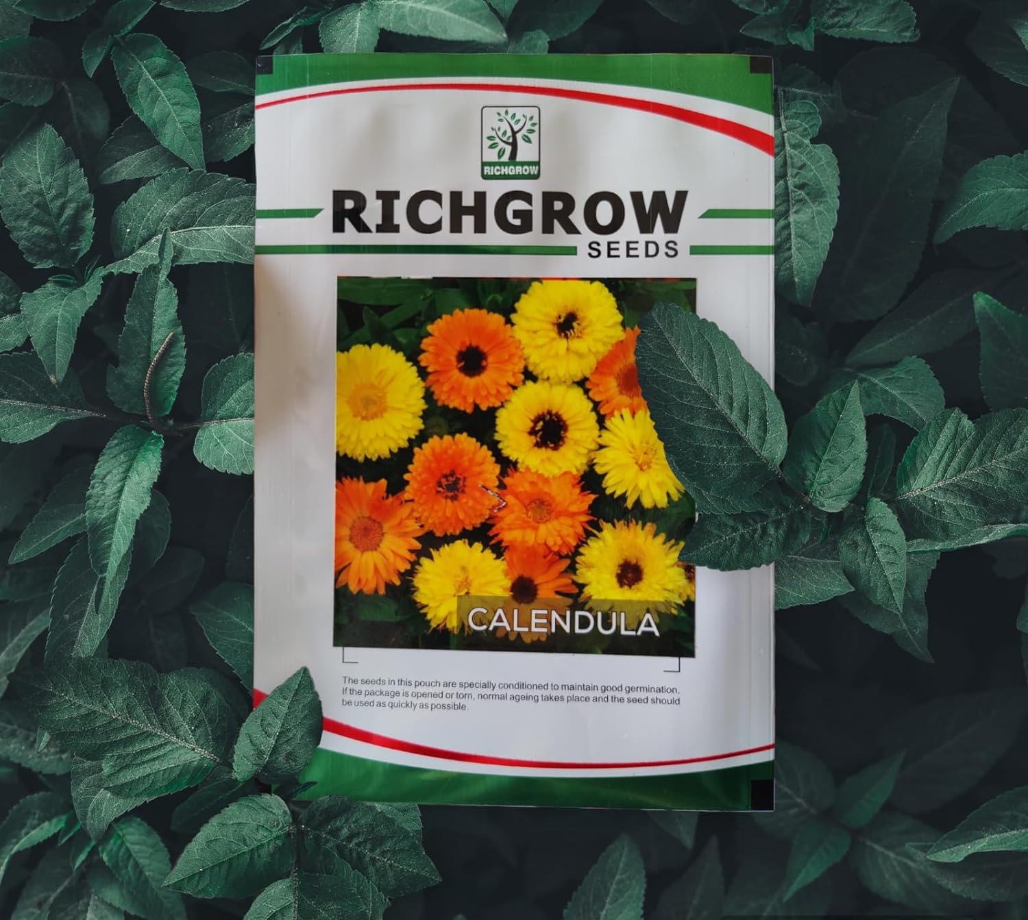 Calendula Seeds (Open Pollinated)