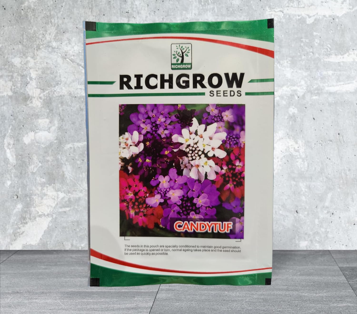 Candytuft Seeds (Open Pollinated)
