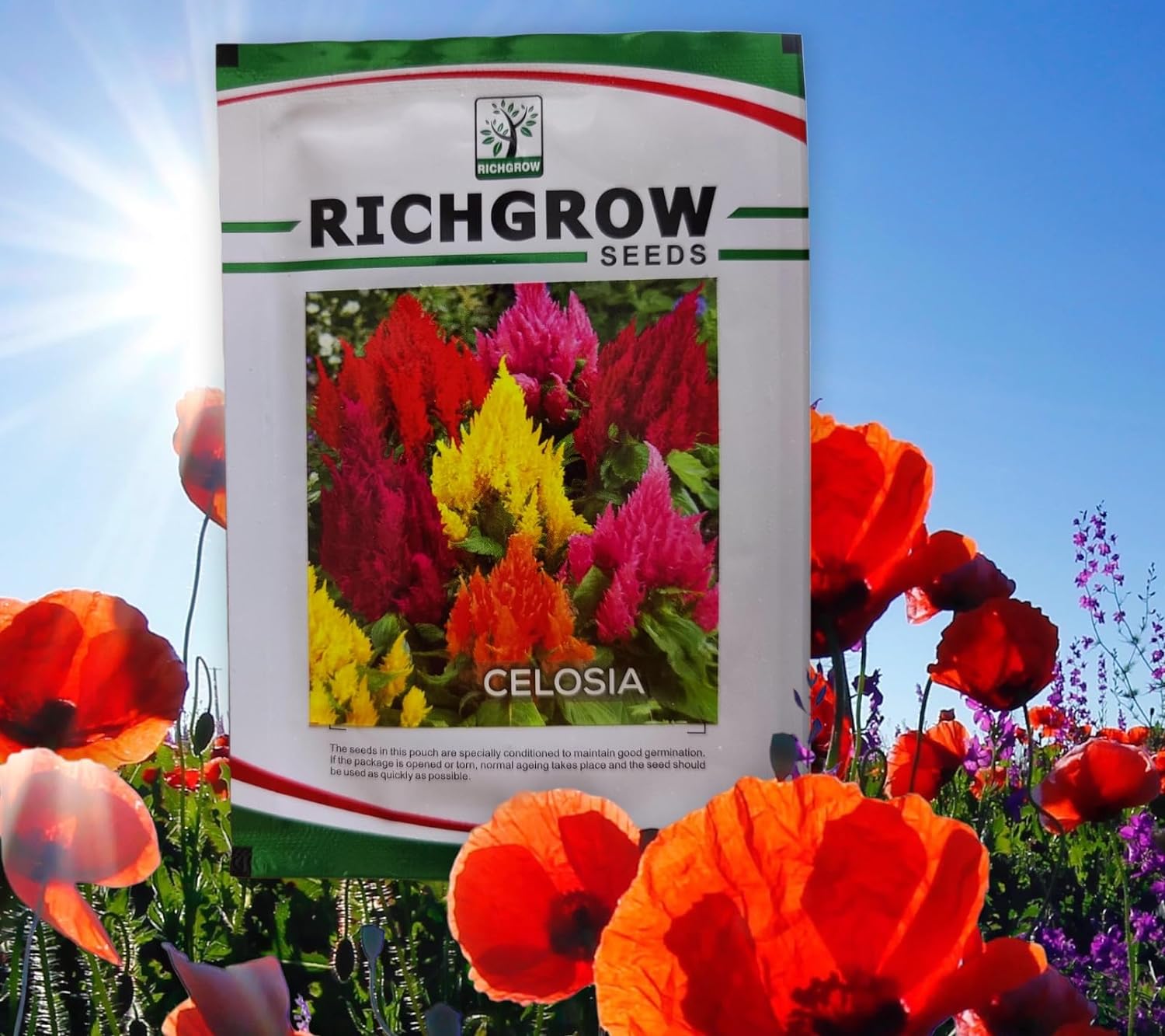 Celosia Seeds (Open Pollinated)