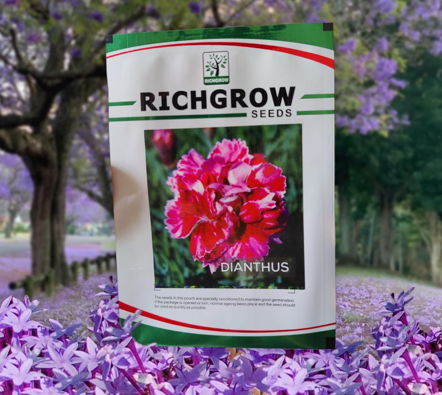 Dianthus Seeds (Open Pollinated)