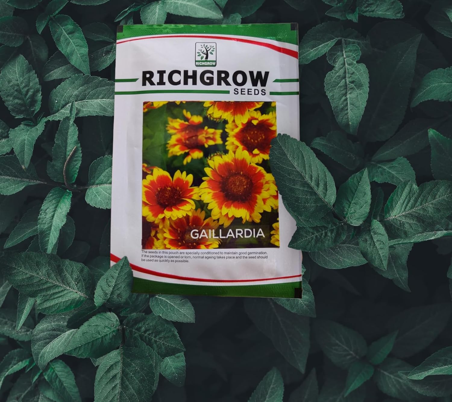 Gaillardia Seeds (Open Pollinated)