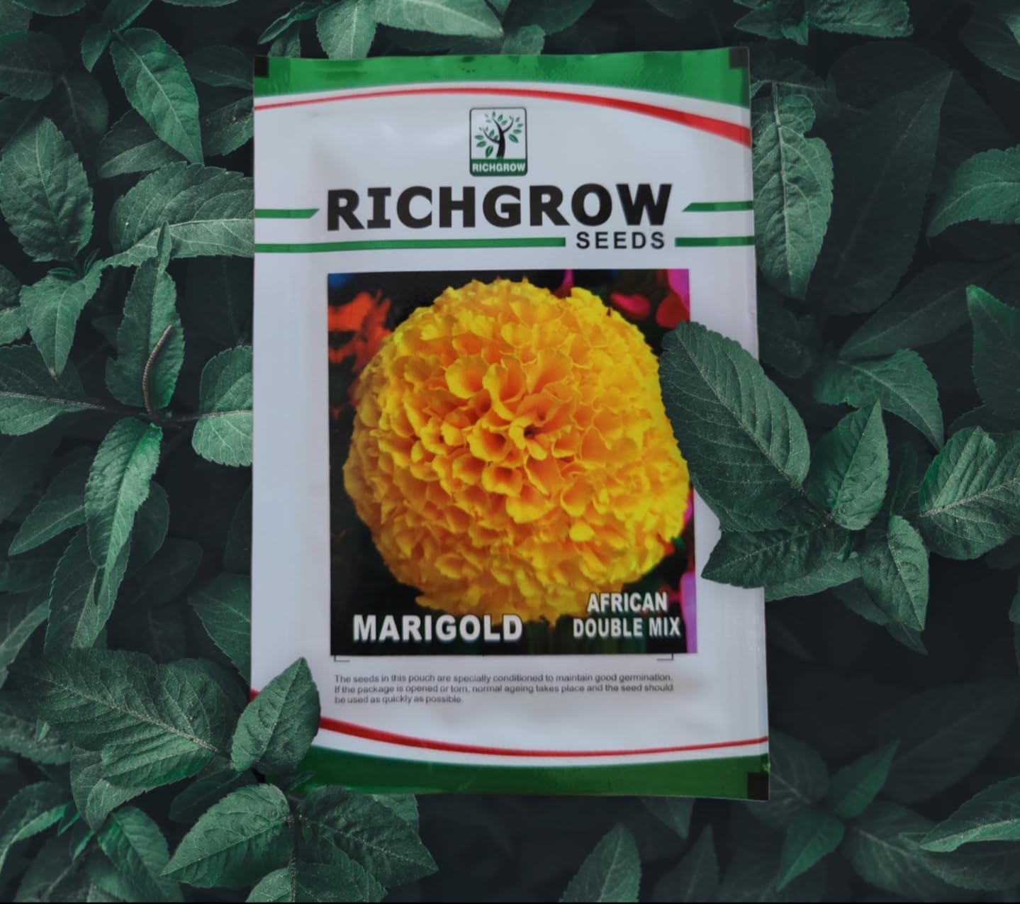 Marigold(African Double Mix) Seeds (Open Pollinated)