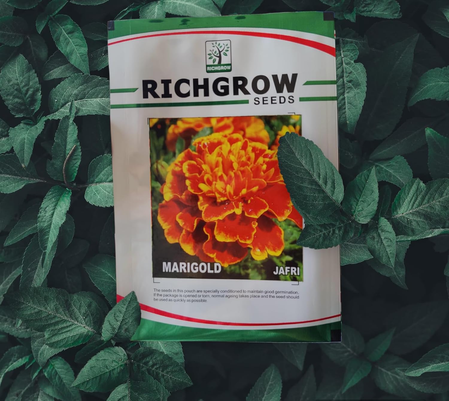 Marigold(Jafri) Seeds (Open Pollinated)