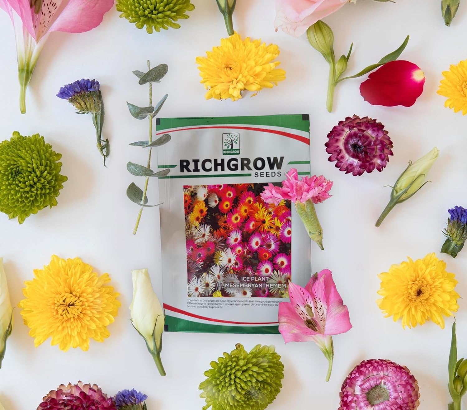Mesembryanthemum Seeds (Open Pollinated)