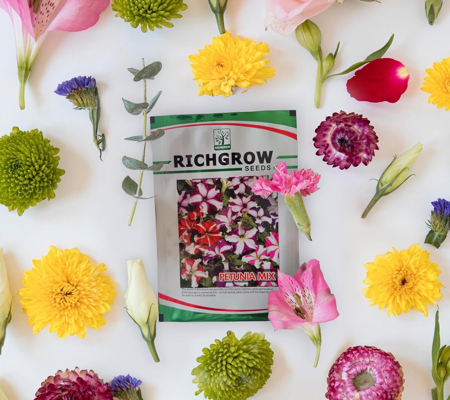 Petunia Mix Seeds (Open Pollinated)