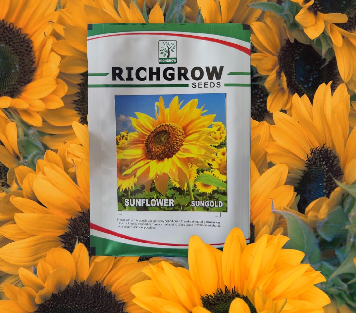 Sunflower(Sungold) Seeds (Open Pollinated)