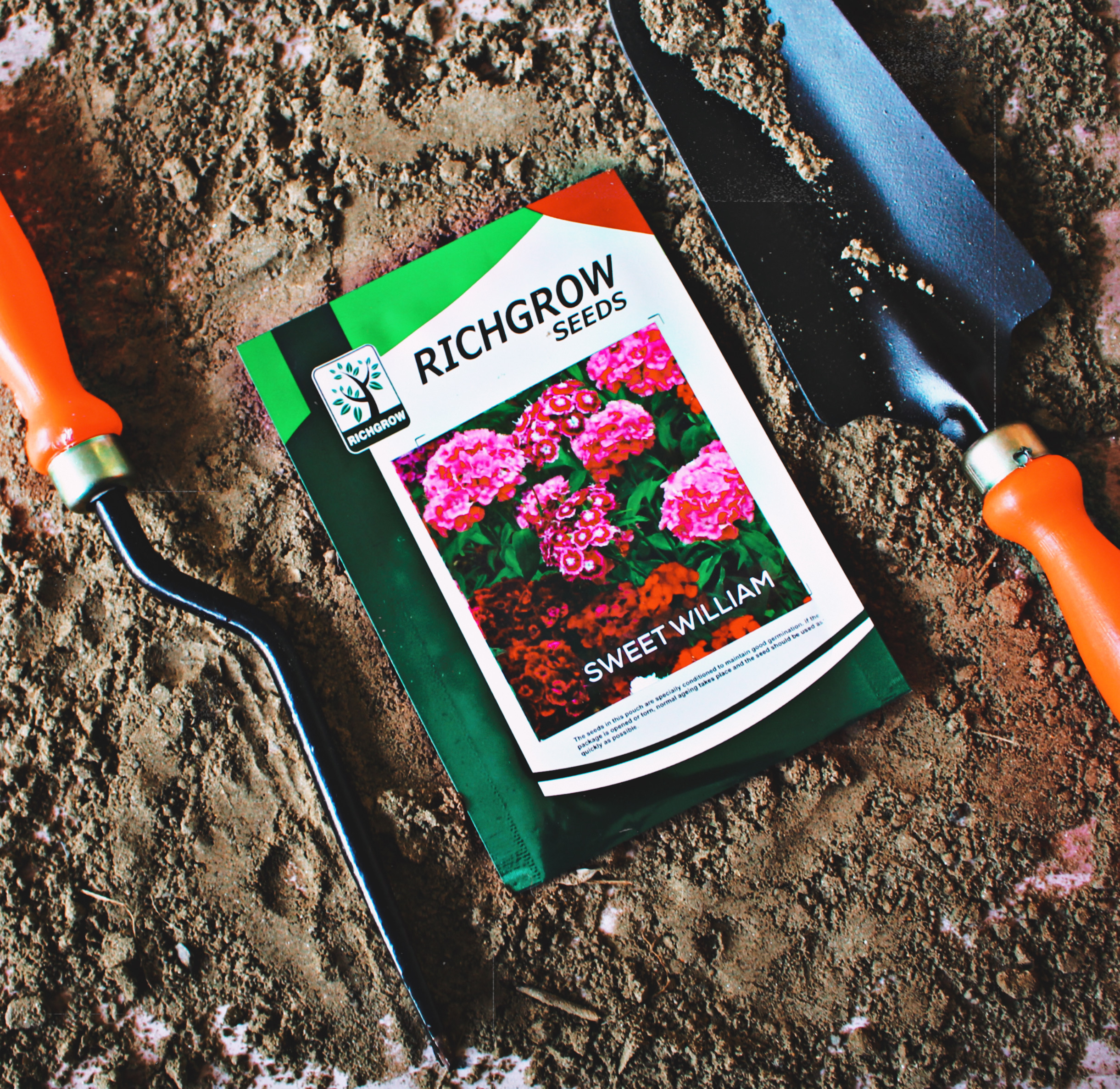 Sweet William Seeds (Open Pollinated)