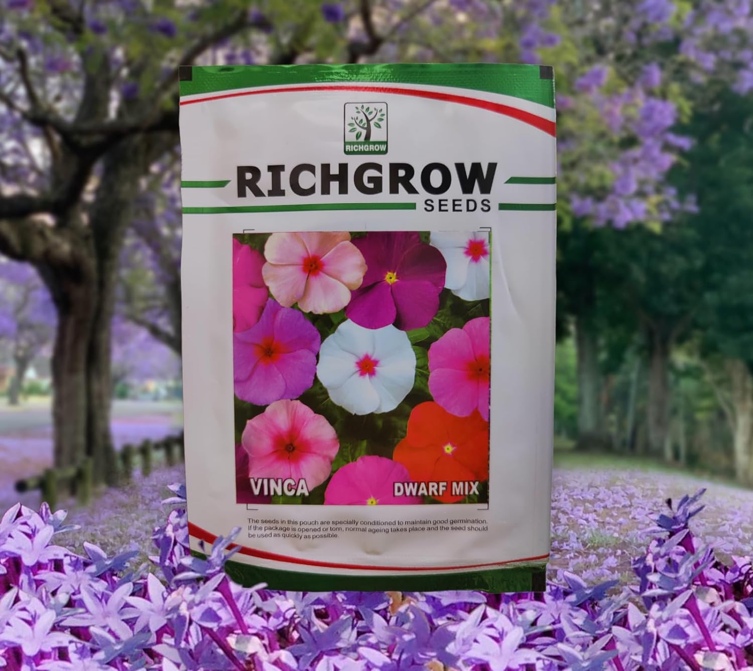Vinca Seeds (Dwarf Mix) (Open Pollinated)