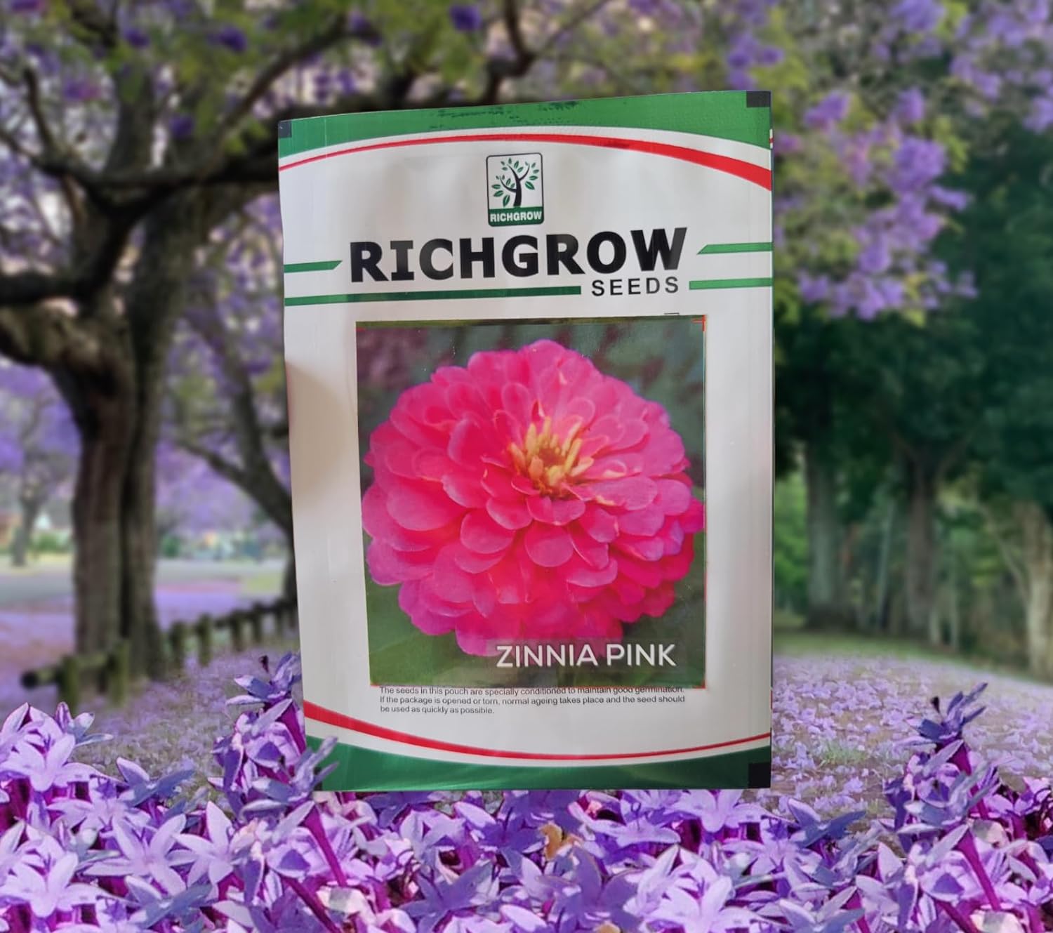 Zinnia Pink Seeds (Open Pollinated)
