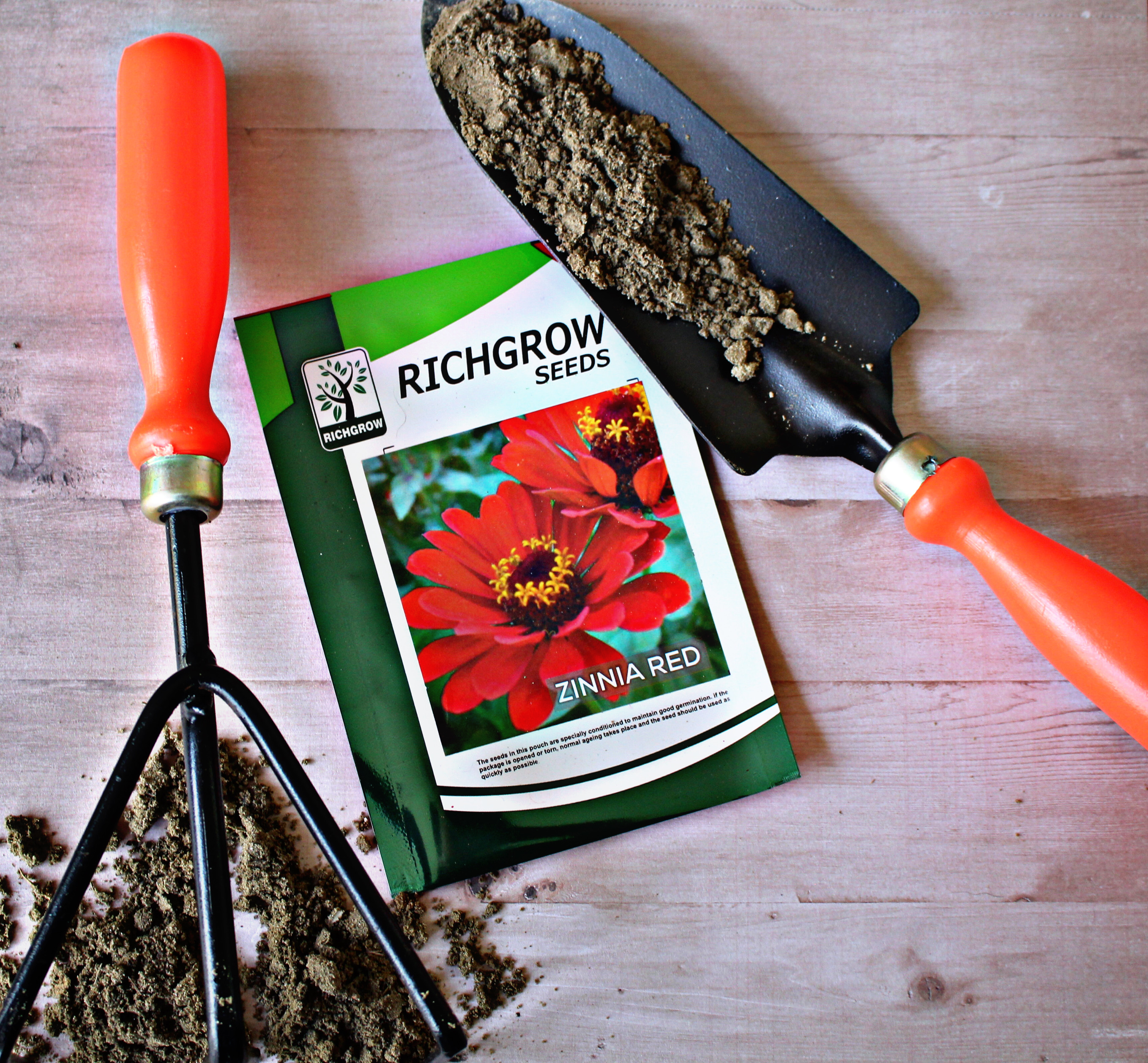 Zinnia Red Seeds (Open Pollinated)