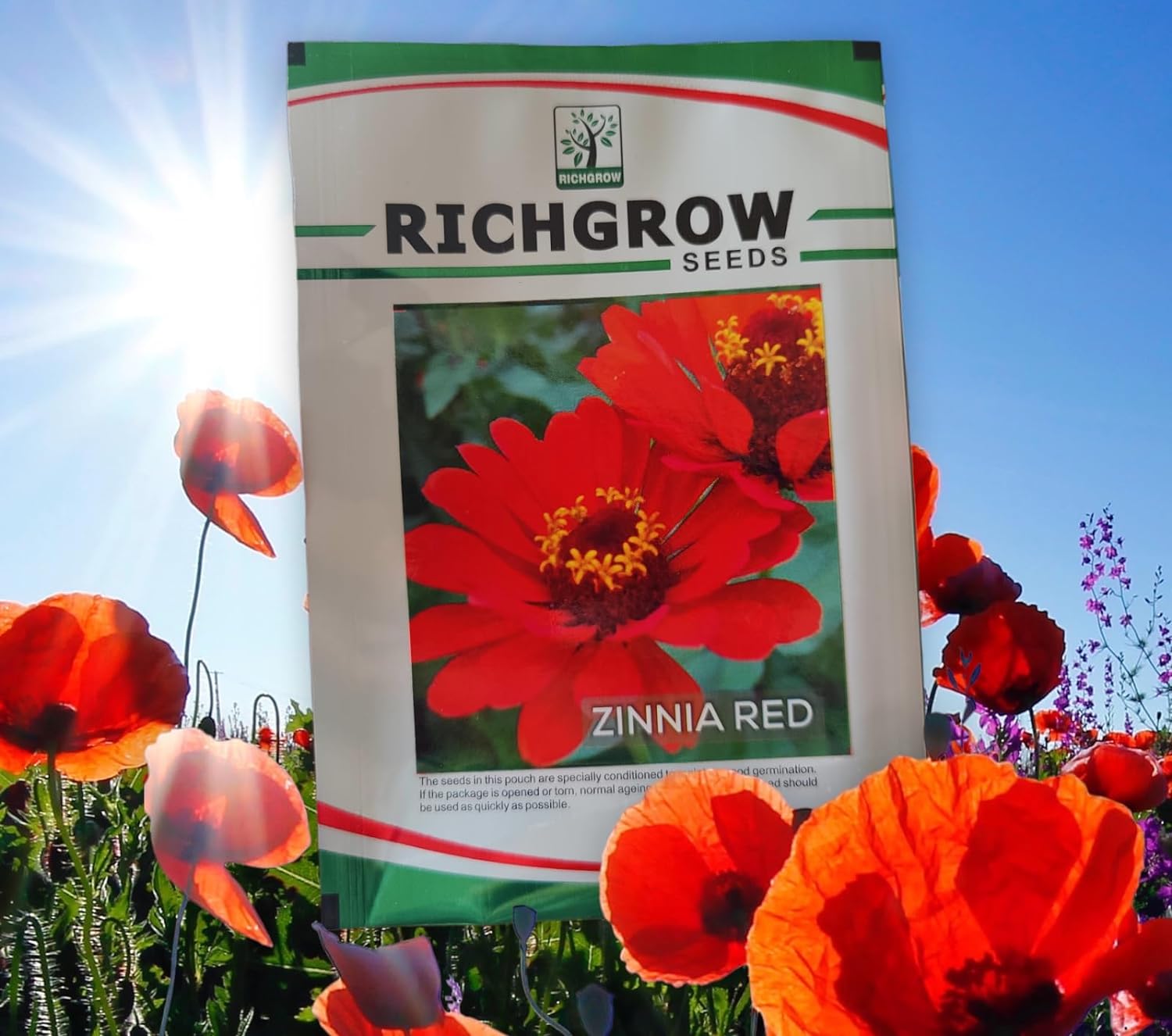 Zinnia Red Seeds (Open Pollinated)