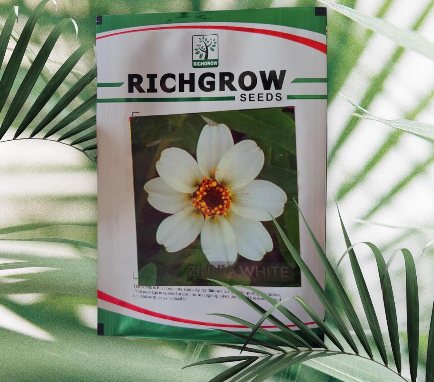 Zinnia White Seeds (Open Pollinated)