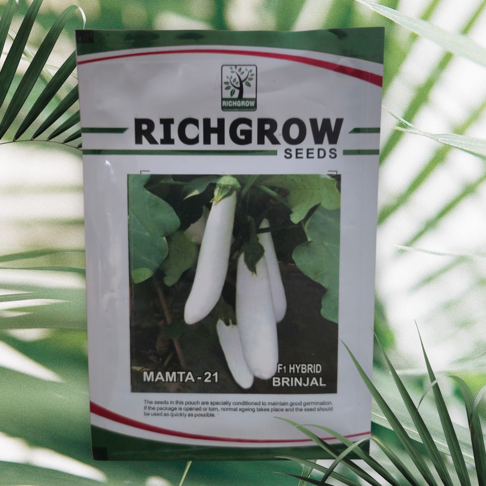 White Long Brinjal Seeds (F1 Hybrid)