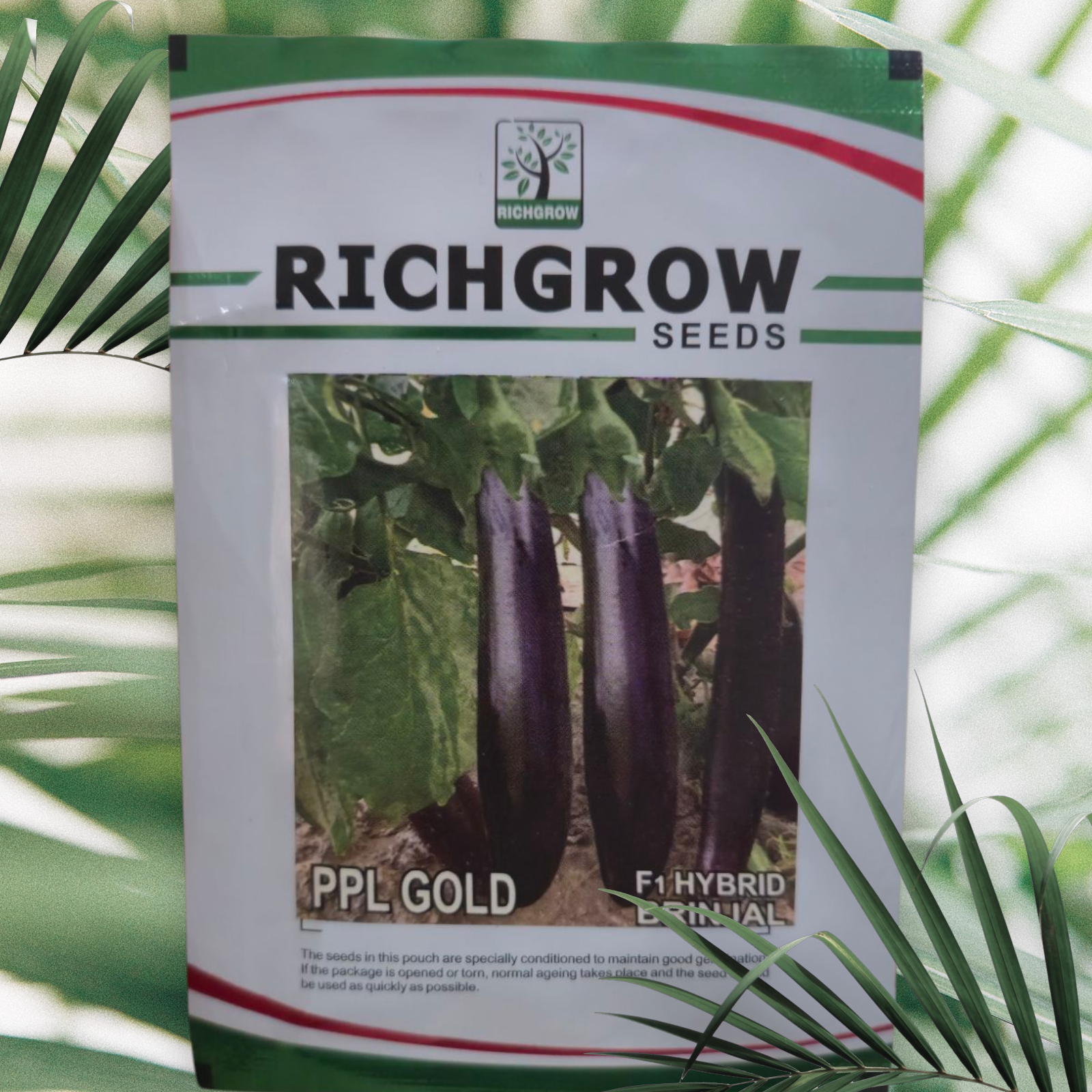 Brinjal Seeds (Variety - PPL Gold) (F1 Hybrid)