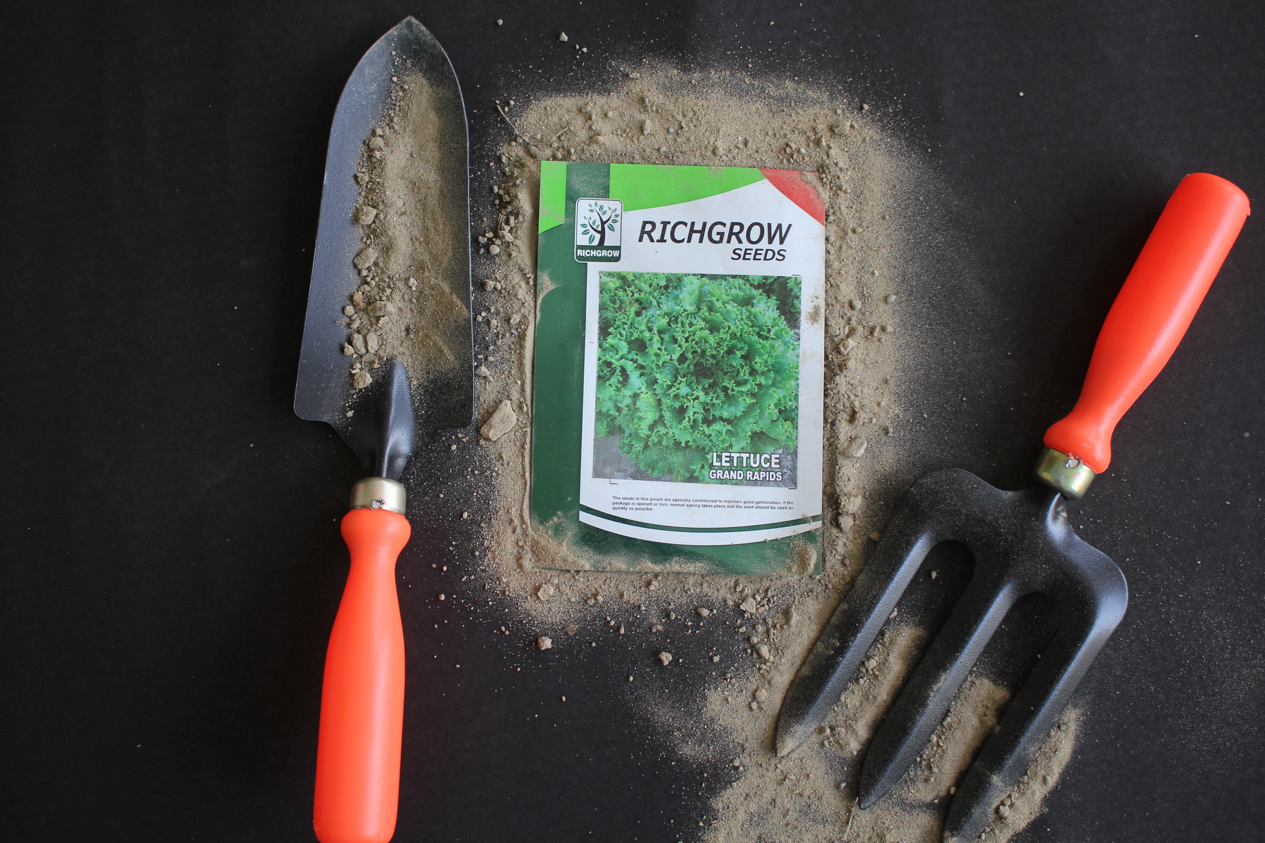 Lettuce Grand Rapids Seeds (Open Pollinated)
