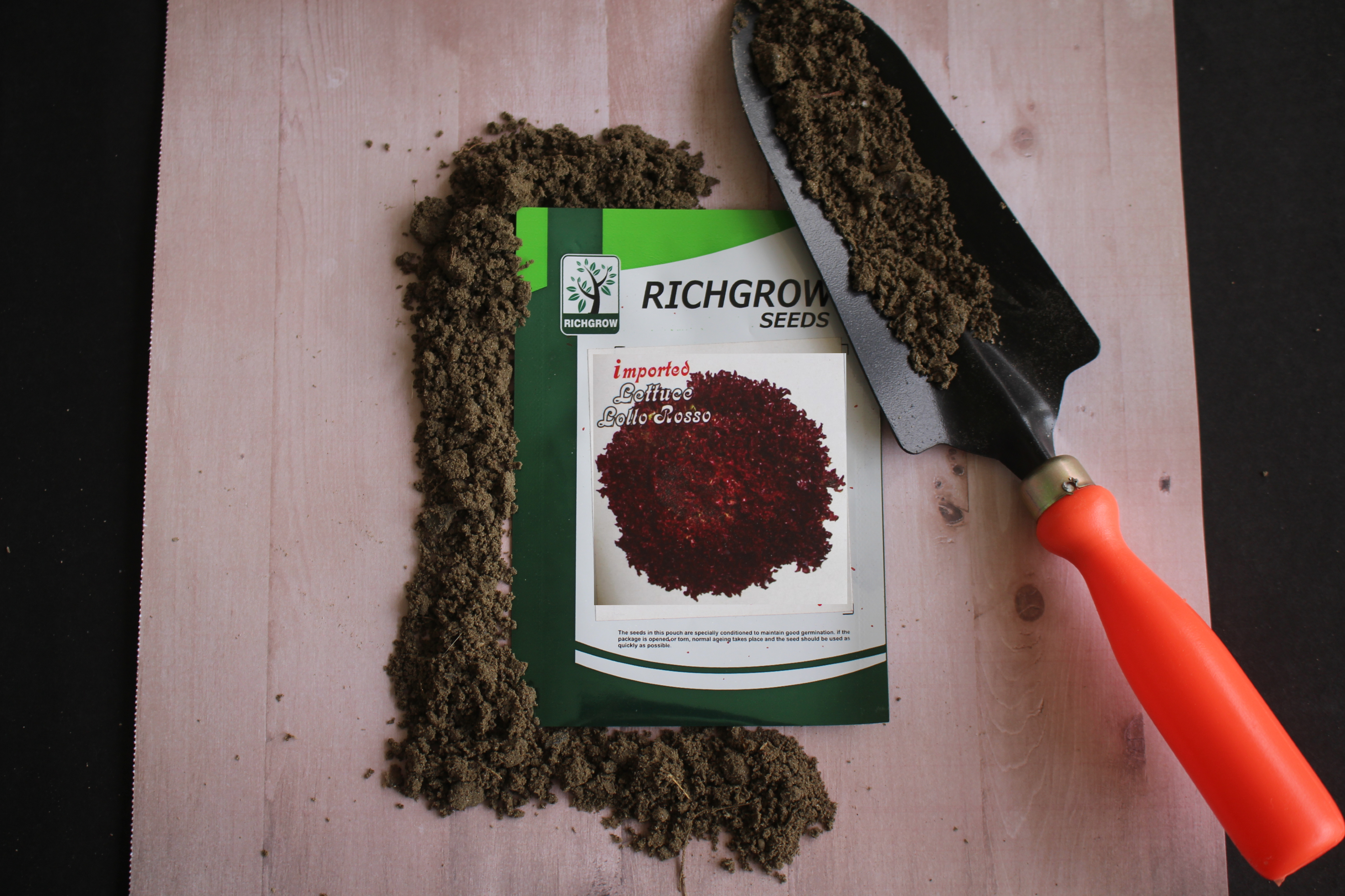 Lettuce Lollo Rosso Seeds (Open Pollinated)