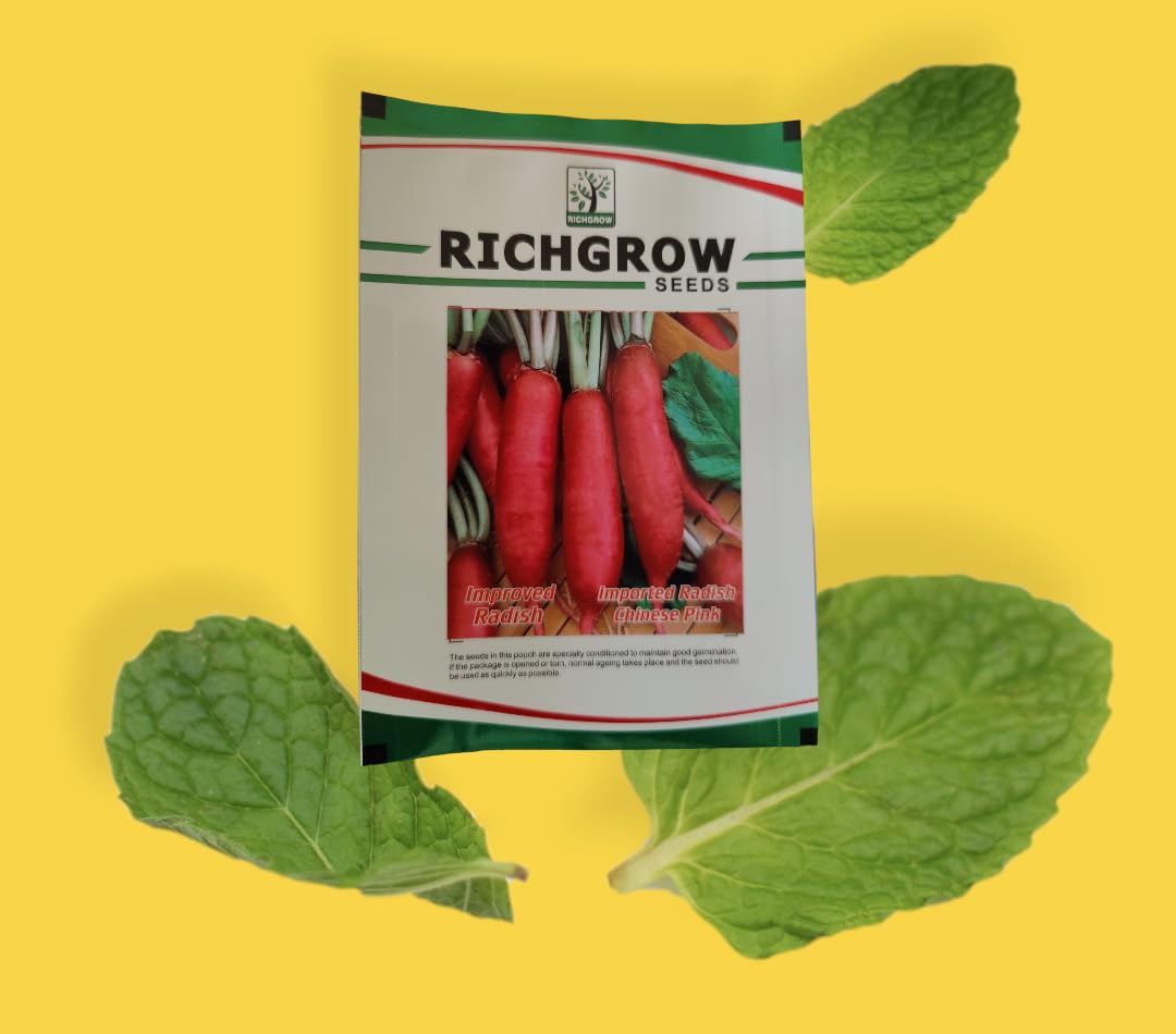 Chinese Pink Radish Seeds (Open Pollinated)