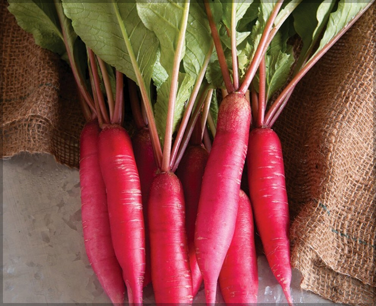 Red Long Radish Seeds (Open Pollinated)
