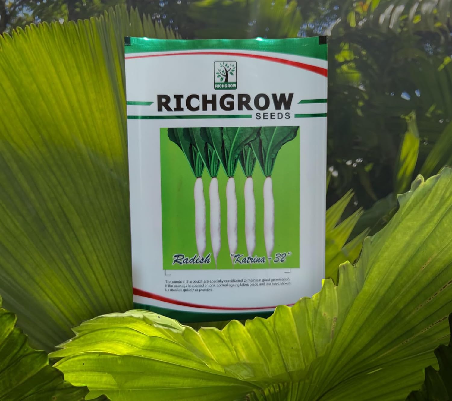 White Radish Seeds (Variety - Katrina 32) (Open Pollinated)