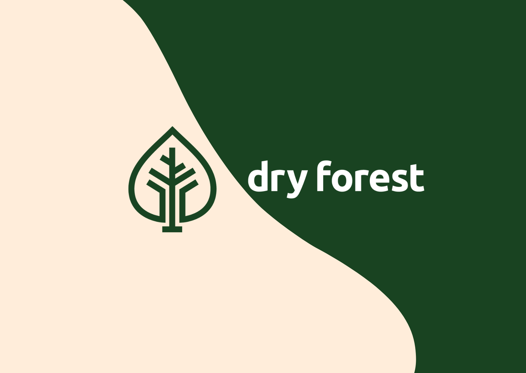 Dry Forest - Green Card