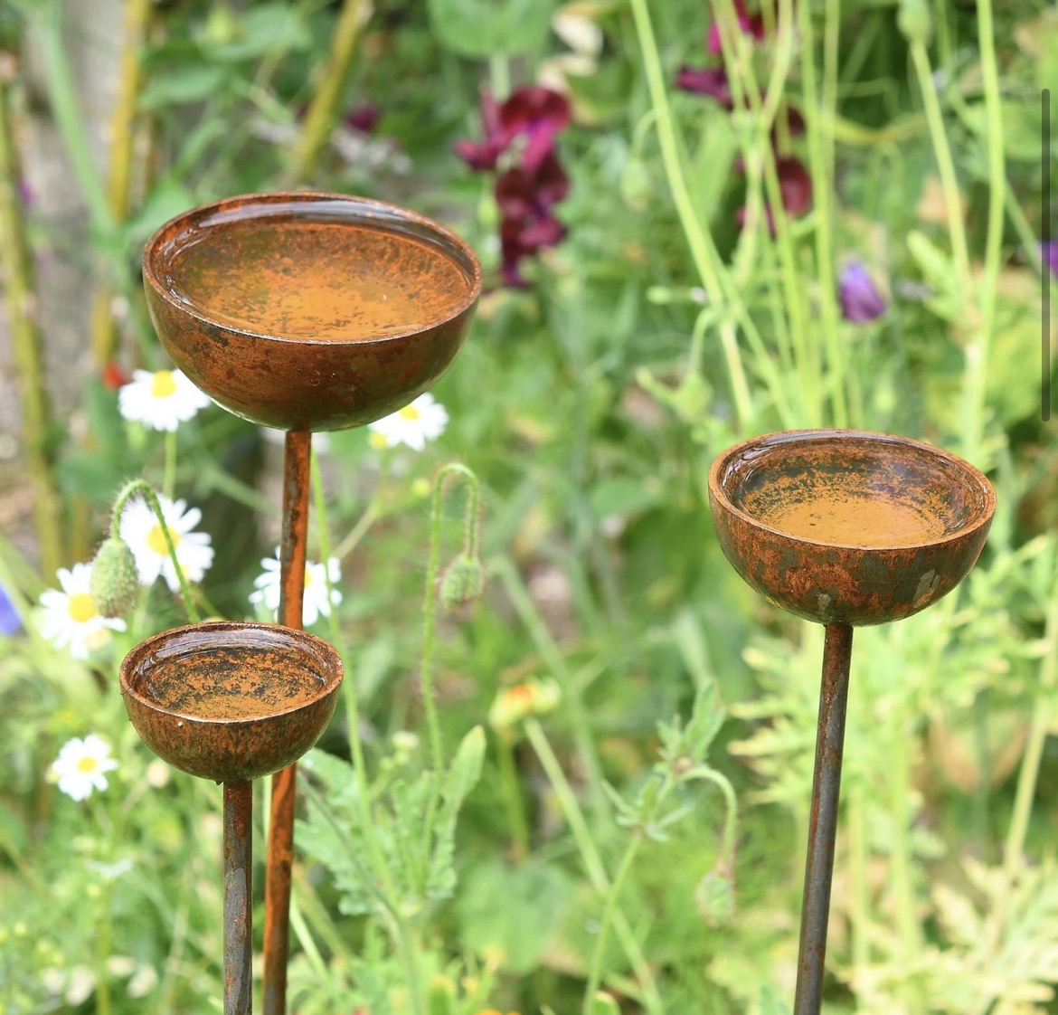 Rain Catcher Plant Support