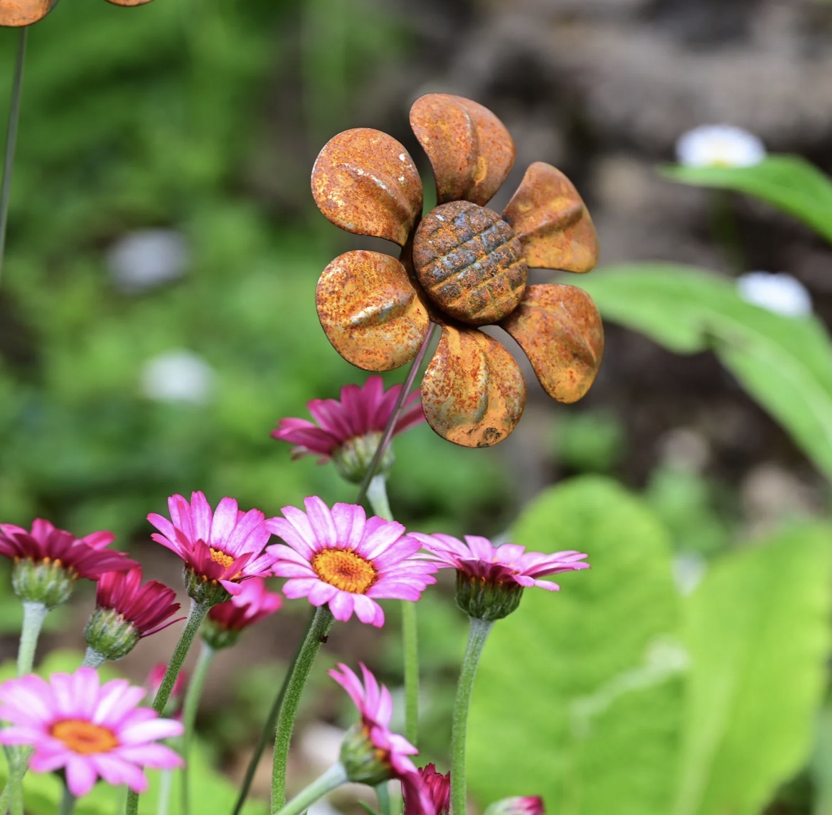 Rusty Metal Daisy Garden Sculpture