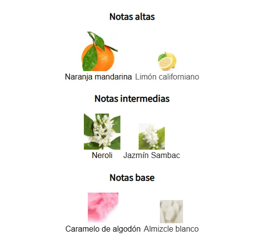 VIBRANT ORANGE & NEROLI