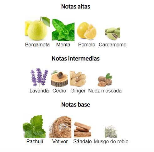 CLUB DE NUIT URBAN MAN