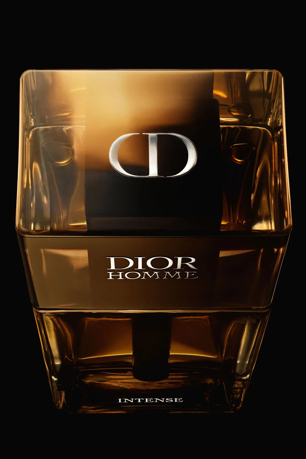 Dior Homme Intense 2011