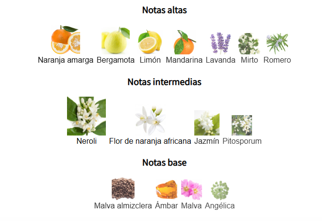 NEROLI RIVIERA