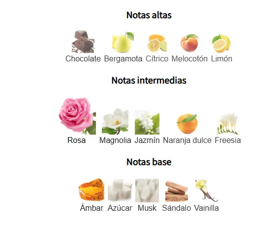 RUA RADIANT ROSES