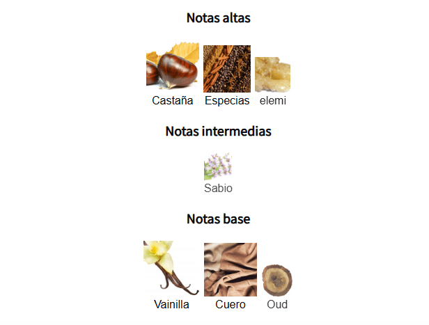 CORIUM 