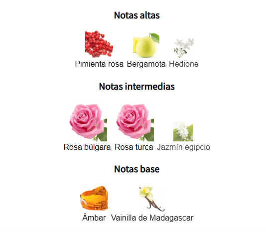 INFINI ROSE 