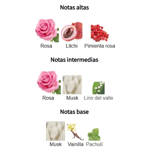 MOHRA SILKY ROSE