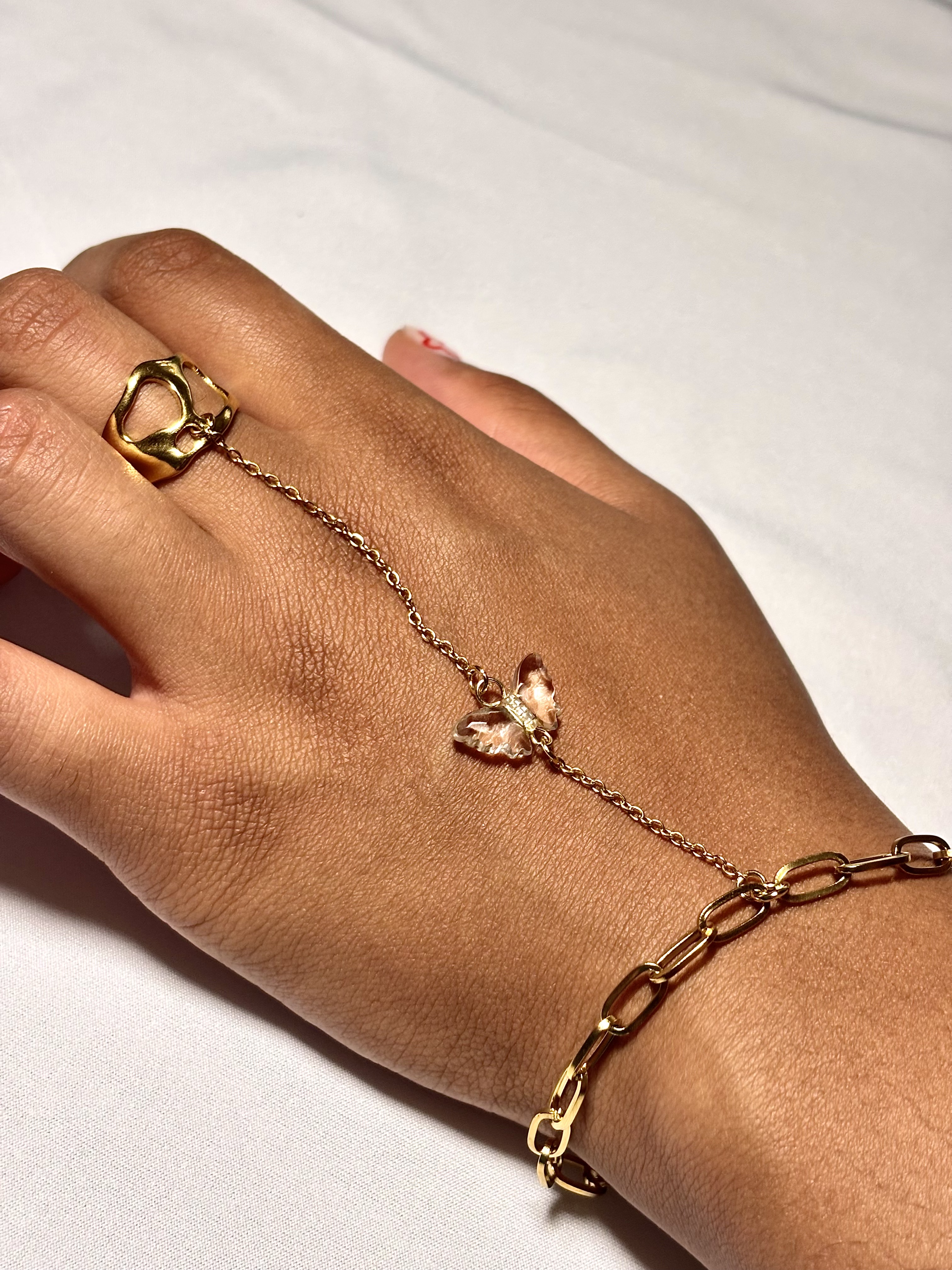 Gold x Papillon #2