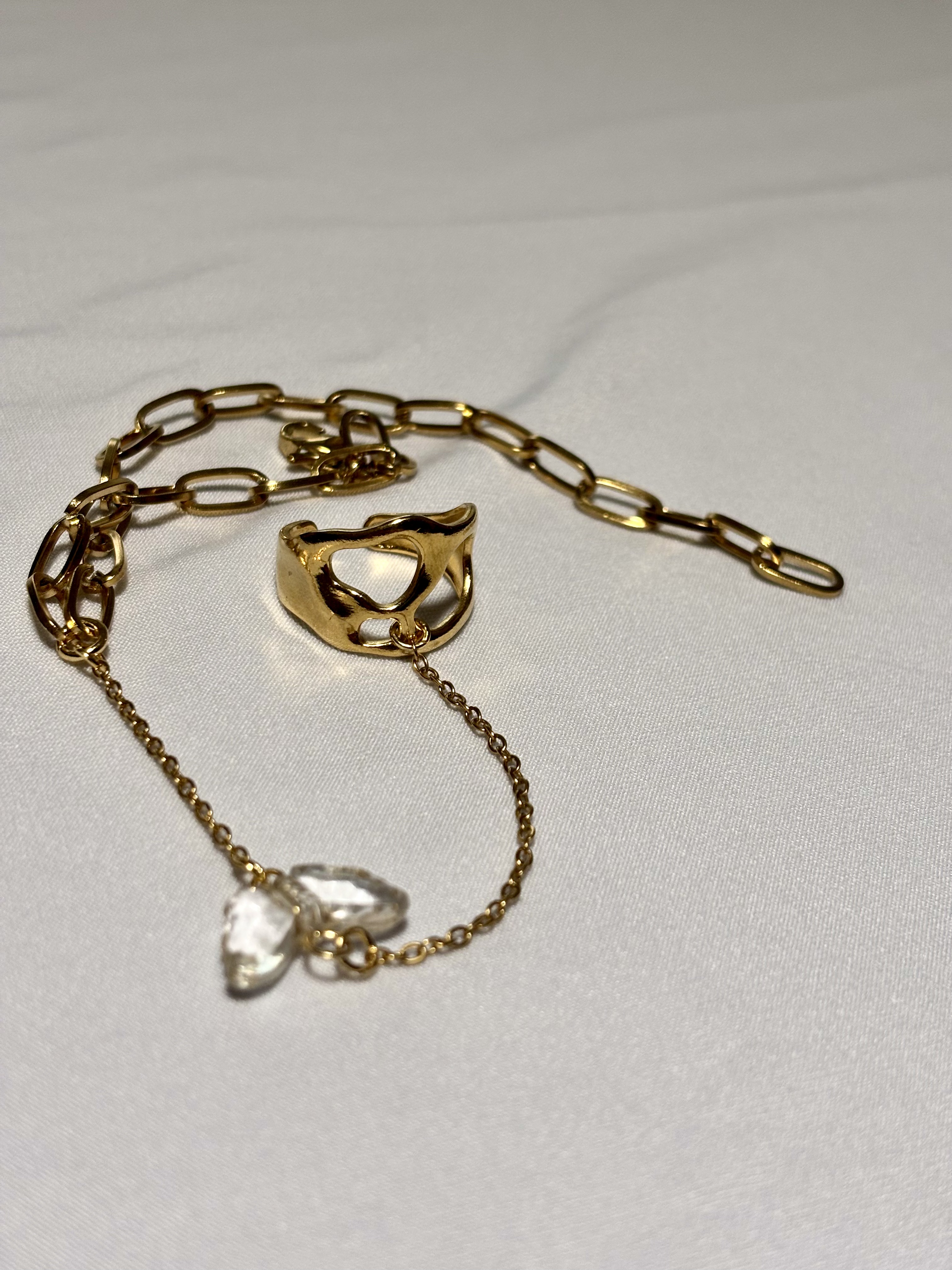 Gold x Papillon #2