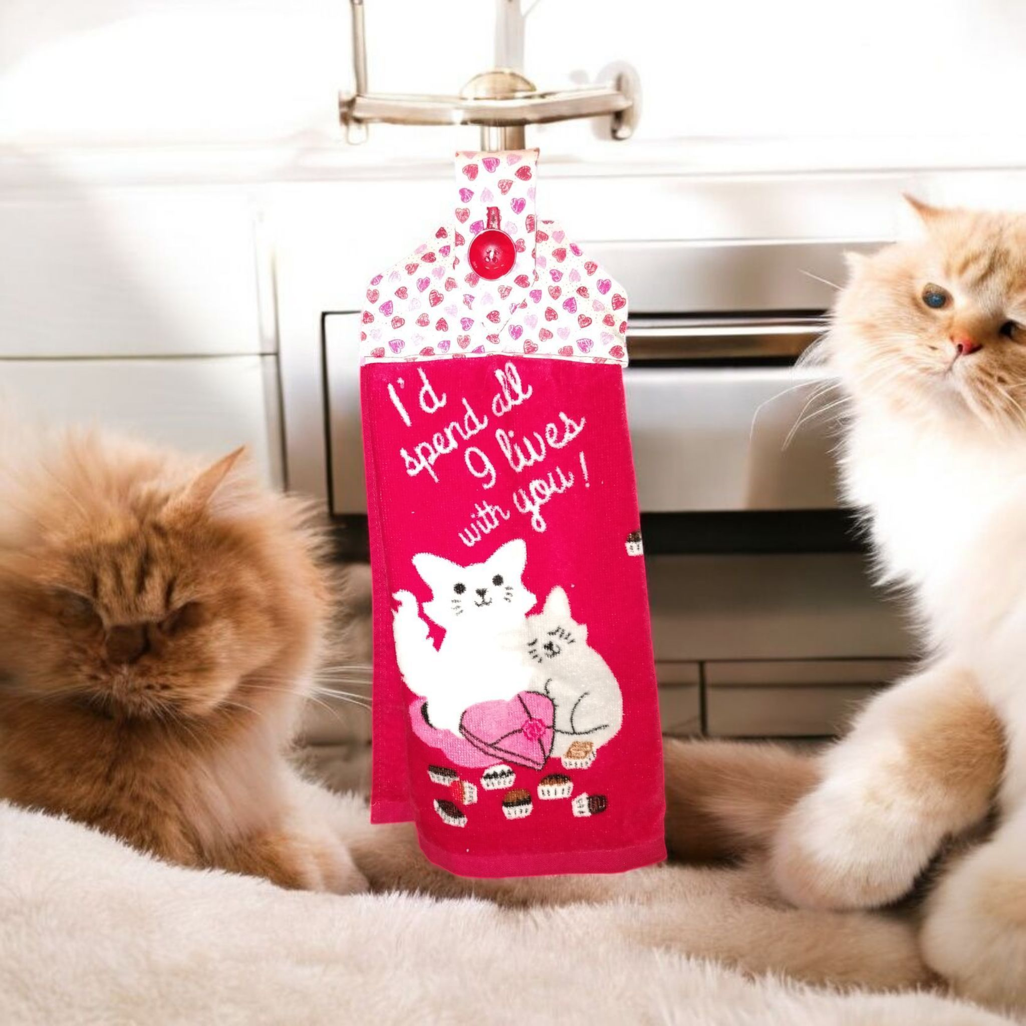 Hanging Kitchen Towels