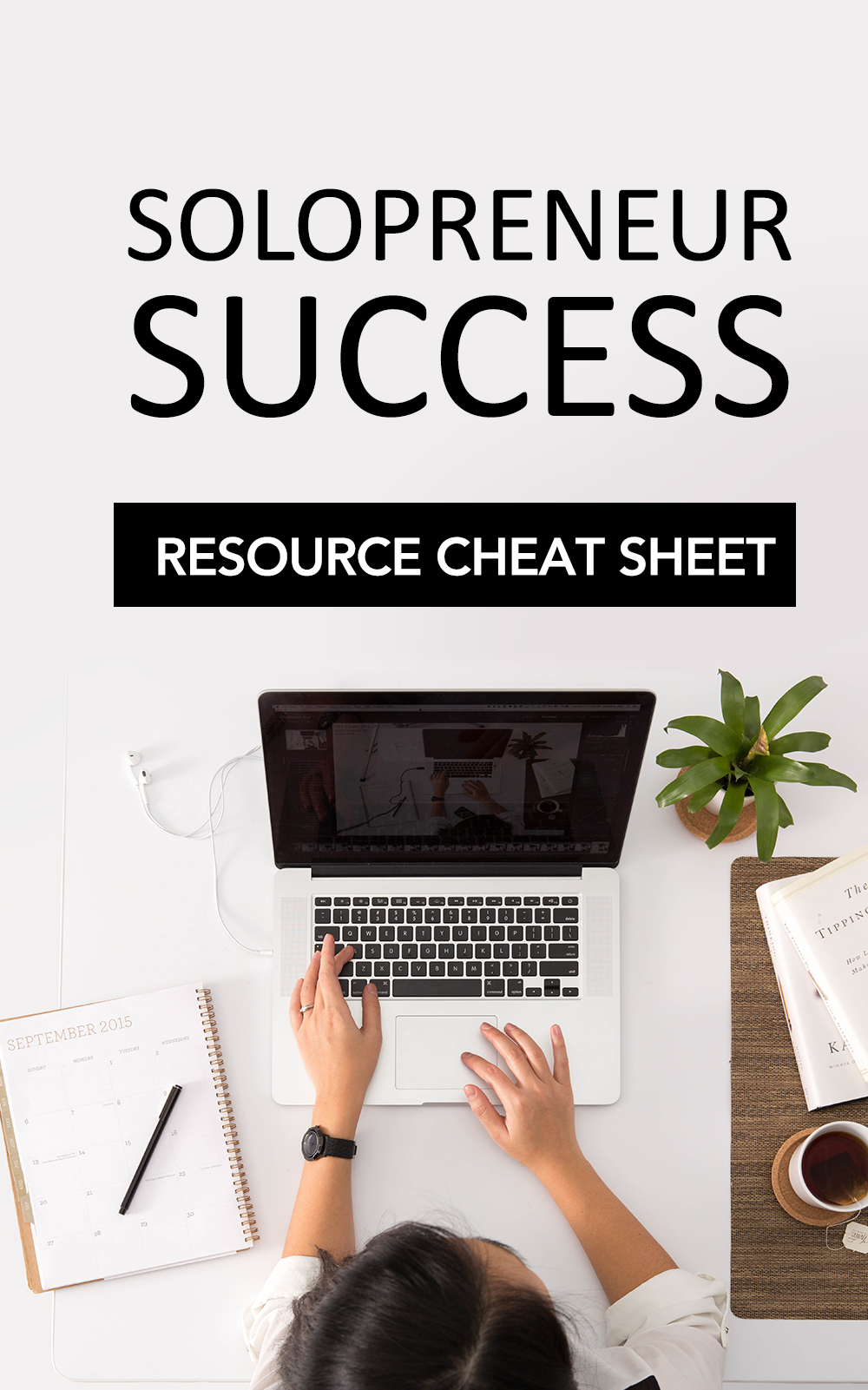 Solopreneur Success