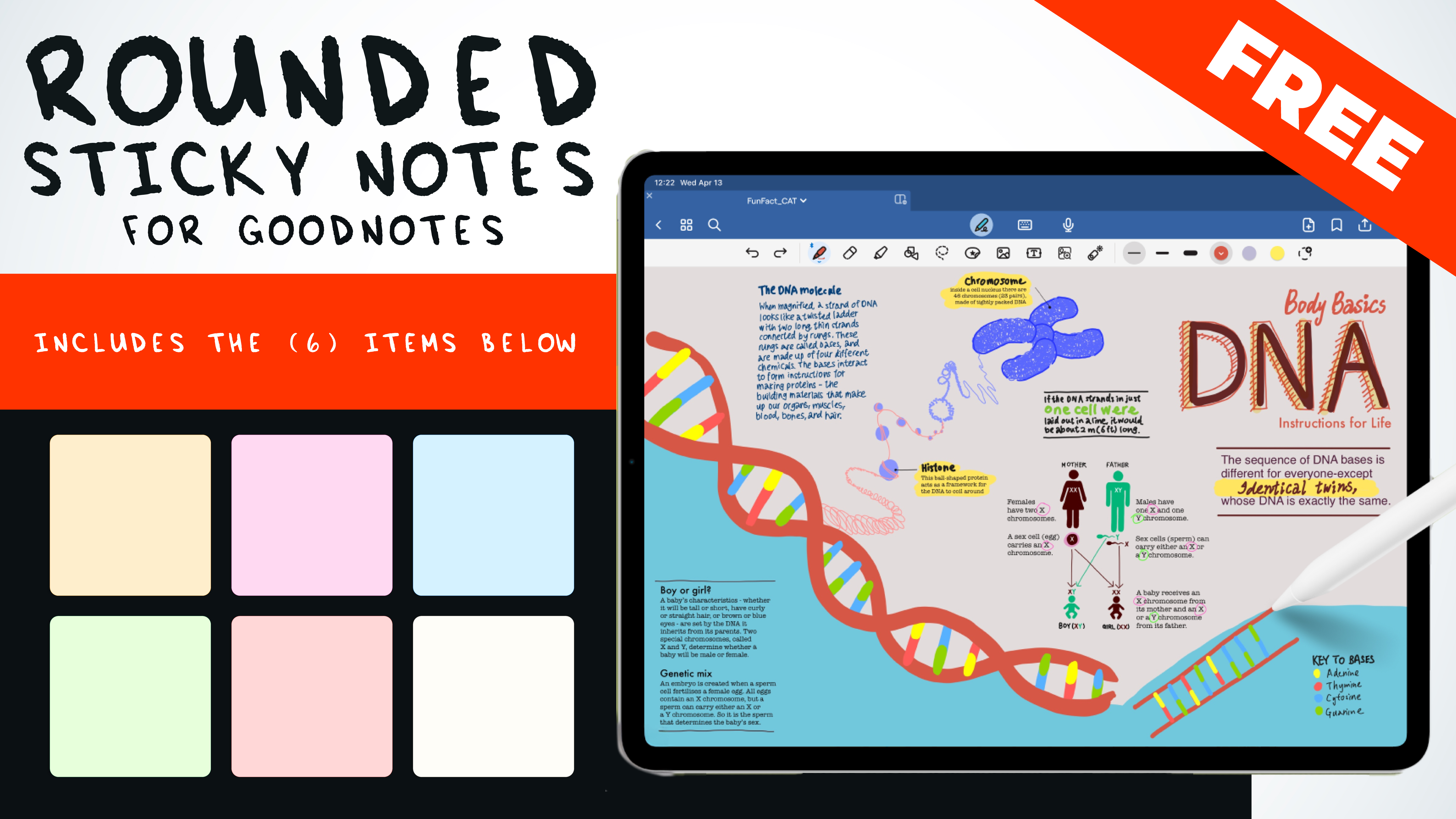 Rounded Sticky Notes Pack