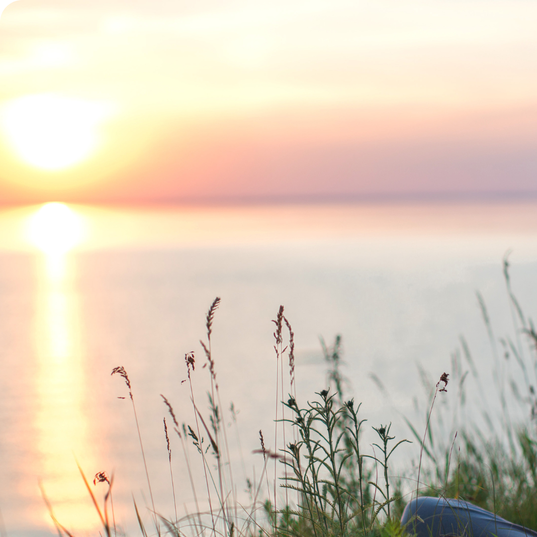 Back to Your Body Free Audio